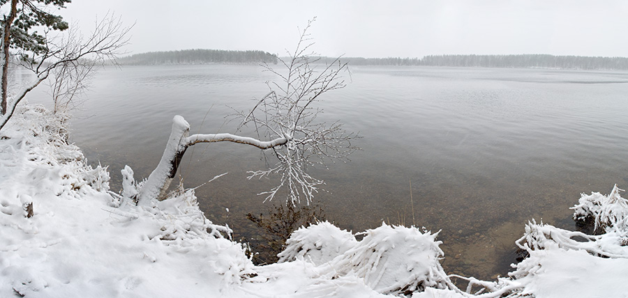 Озеро Большое Зеленодольское (Окунево)